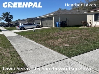 Grass Cutting nearby Brandon, FL, 