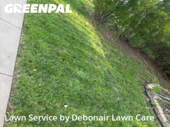 Yard Cutting nearby Bellevue, NE, 