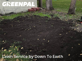 Grass Cut nearby Bay City, MI, 