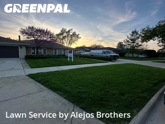 Grass Cutin Des Plaines,60018,Lawn Mow by Alejos Brothers, work completed in Jun , 2026