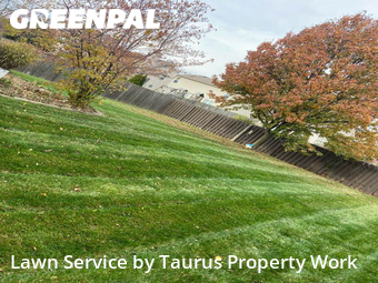 Yard Mowing nearby Greenwood, IN, 