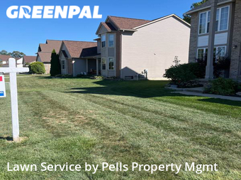 Grass Cut nearby Belleville, MI, 