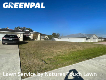 Grass Cutting nearby Cape Coral, FL, 