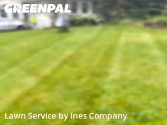 Lawn Cut nearby Downers Grove, IL, 