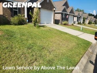 Lawn Cut nearby Bellview, FL, 
