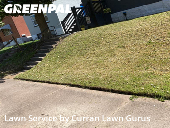 Lawn Care Service nearby St. Louis, IL, 