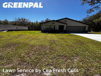 Lawn Care in Citrus Springs, 34434, Lawn Services by Cea Fresh Cuts, work completed in Nov , 2025
