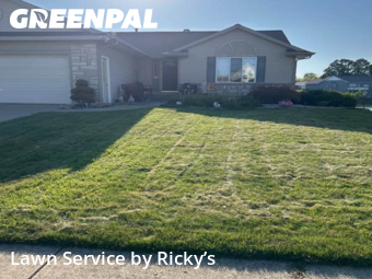 Lawn Mow nearby Grand Rapids, MI, 