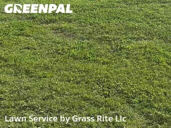Grass Cut nearby Mims, FL, 