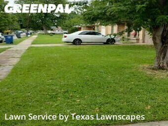 Grass Cut nearby Dallas, TX, 