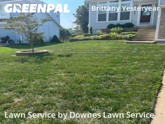 Lawn Mowing Service nearby Olathe, KS, 