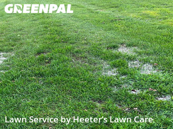 Grass Cut nearby Indianapolis, IN, 