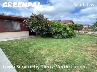 Lawn Care nearby Los Angeles, CA, 