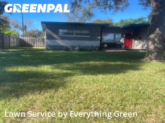 Lawn Mow nearby Orlando, FL, 