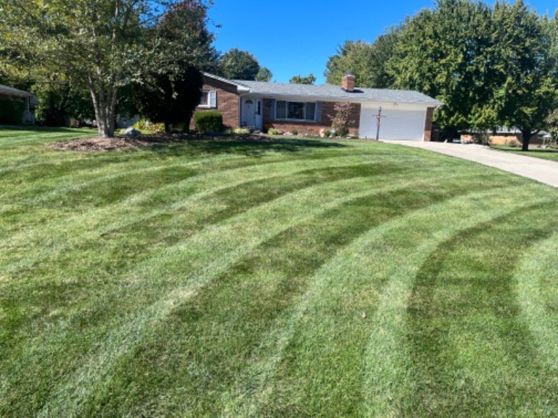 Lm Landscaping Lawn Care Services in Middletown, OH