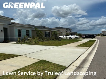 Grass Cut nearby Parrish, FL, 