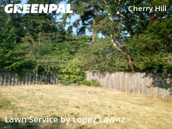 Yard Cutting nearby Seattle, WA, 