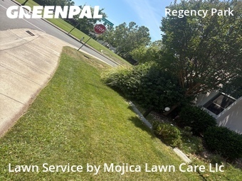 Lawn mowing work completed in Sacramento, CA