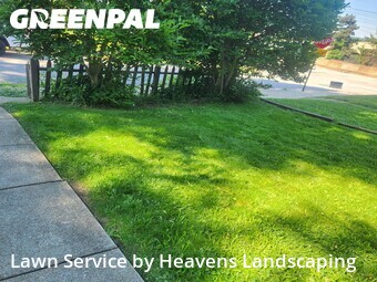 Lawn mowed in Pittsburgh, 15218