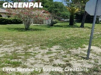 Lawn Care Service nearby Spring Hill, FL, 