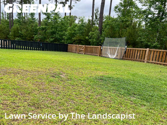 Lawn Care Service nearby Summerville, SC, 