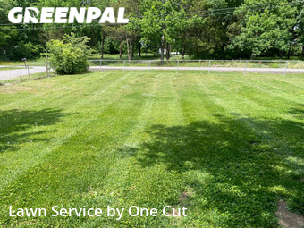 Lawn Care Service nearby La Vergne, TN, 