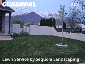 Yard Cutting nearby Orem, UT, 