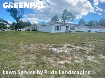 Yard Cutting nearby Spring Hill, FL, 