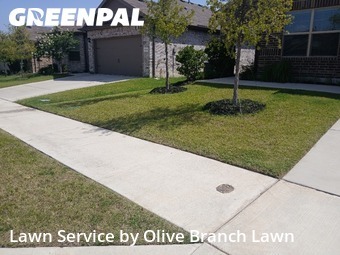 Grass Cut nearby Fort Worth, TX, 