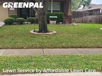 Yard Cutting nearby Cibolo, TX, 