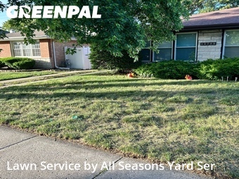 Yard Cutting nearby Dolton, IL, 