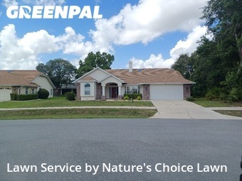 Lawn Mow nearby Beverly Hills, FL, 