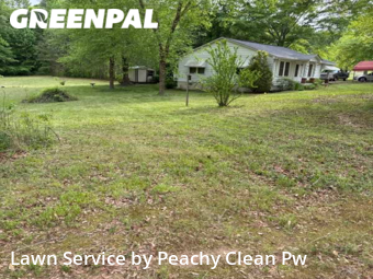 Lawn Cutting nearby Bowdon, GA, 