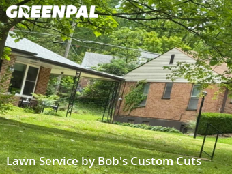 Grass Cut nearby University City, MO, 