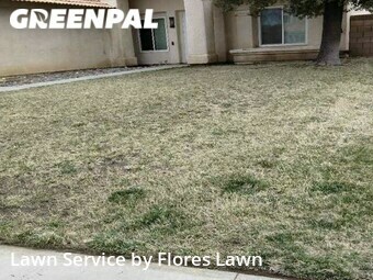 Lawn Cut nearby Lancaster, CA, 