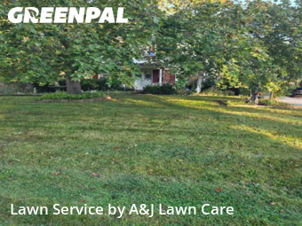 Grass Cut nearby Grand Blanc, MI, 