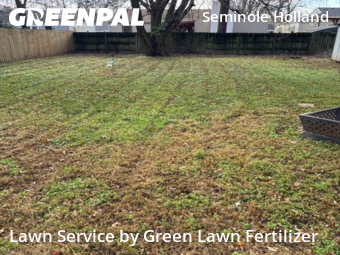 Yard Services in Springfield, 65807, Grass Services by Green Lawn Fertilizer, work completed in Nov , 2025