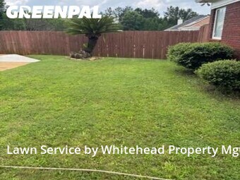 Grass Cut nearby Columbus, GA, 