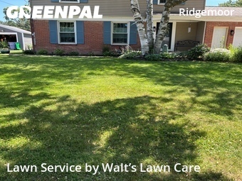Lawn Mow nearby Grand Rapids, MI, 