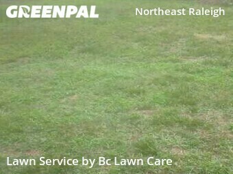 Lawn Mowing nearby Raleigh, NC, 