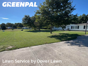 Yard Mowing nearby Harrington, DE, 