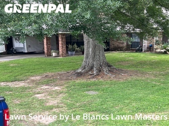 Grass Cut nearby Lafayette, LA, 