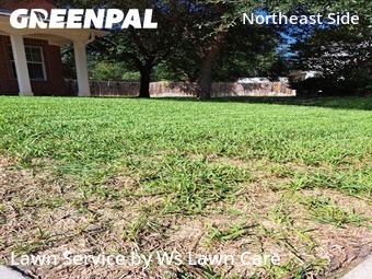 Yard Mowing nearby Schertz, TX, 