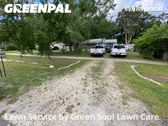 Lawn Cutting nearby Tampa, FL, 