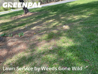Grass Cutting nearby Richmond, VA, 