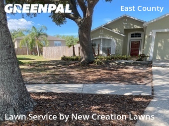 Lawn Cut nearby Valrico, FL, 