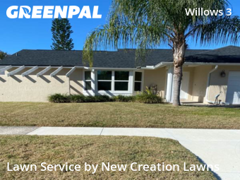 Lawn Maintenancein Brandon,33594,Lawn Cutting by New Creation Lawns, work completed in Feb , 2026