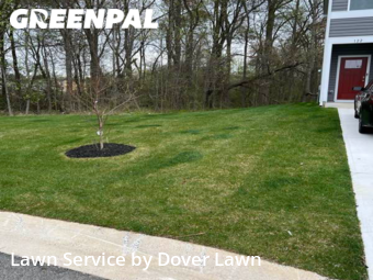 Lawn Cut nearby Dover, DE, 