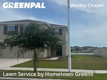 Grass Cut nearby Wesley Chapel, FL, 