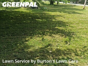 Lawn Care Service nearby Canfield, PA, 
